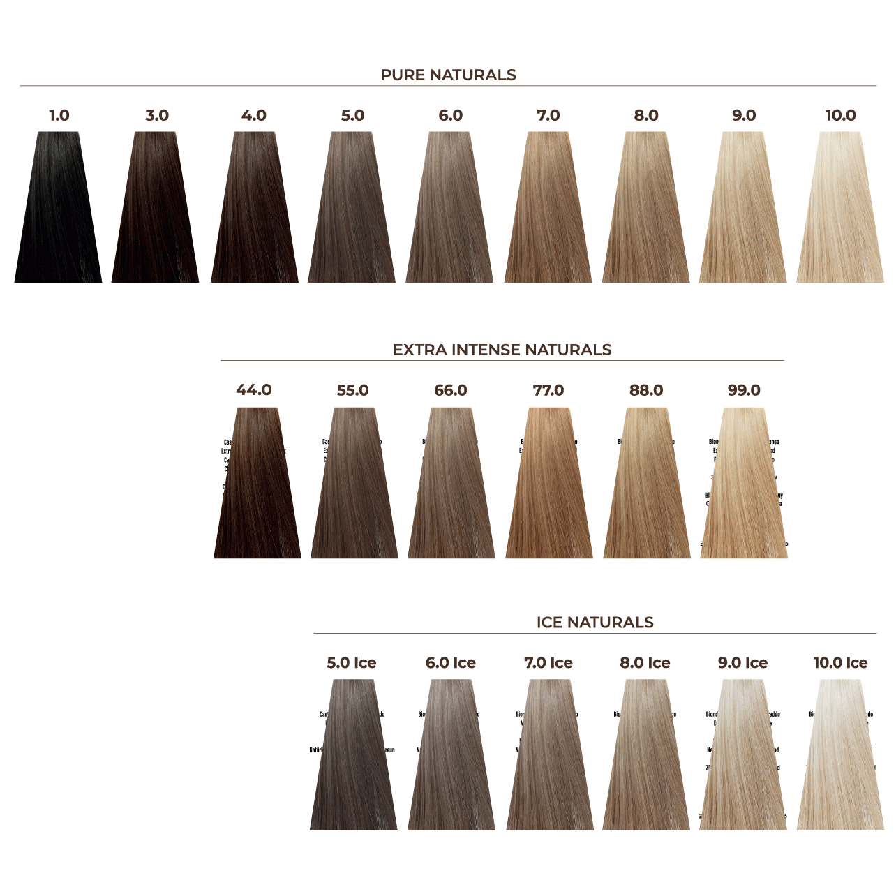 ECHOS COLOR (100ml)