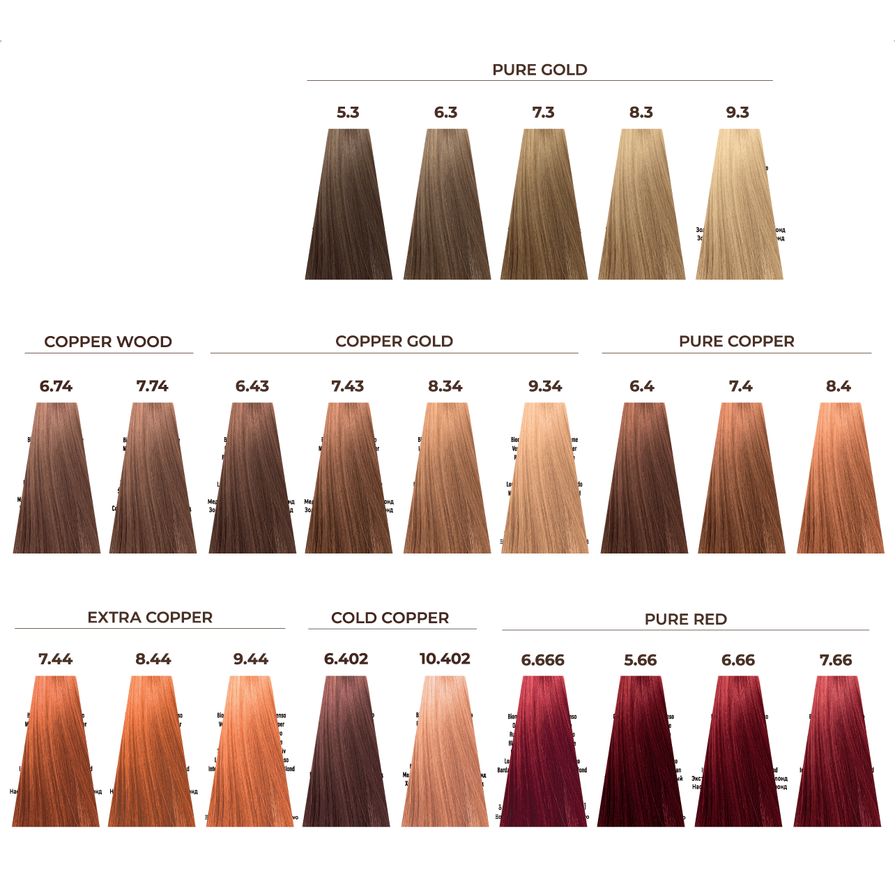 ECHOS COLOR (100ml)