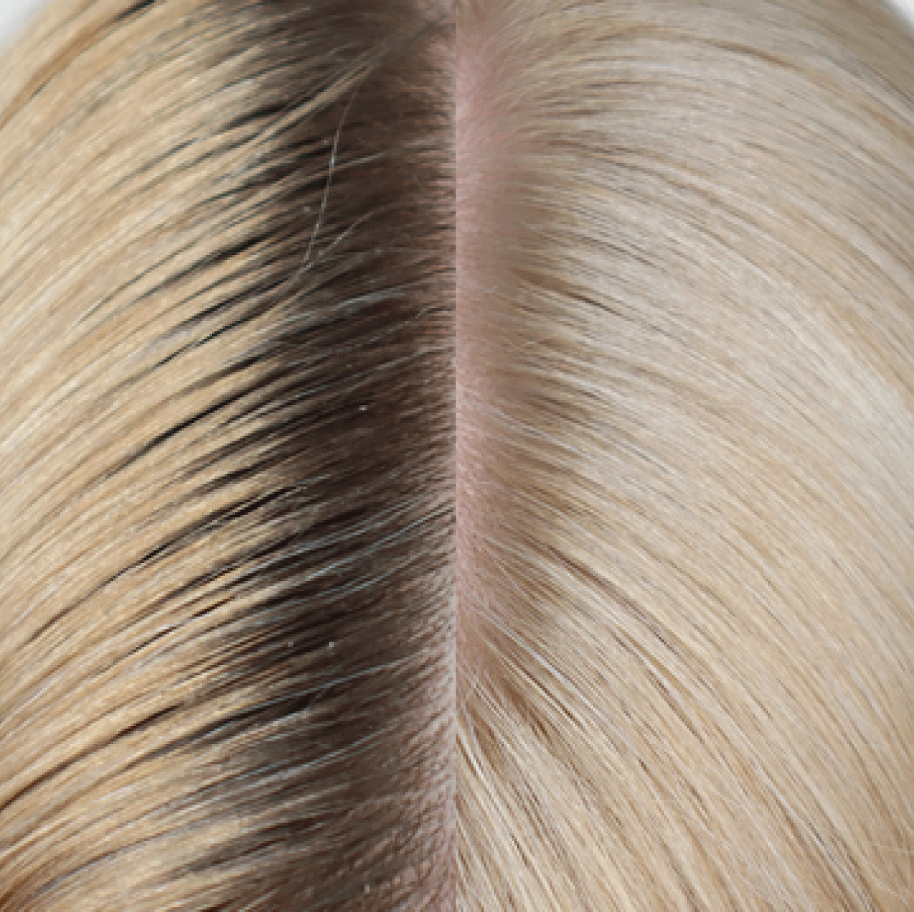 BLONDE LAB - Ponedeljek 15.09.2025