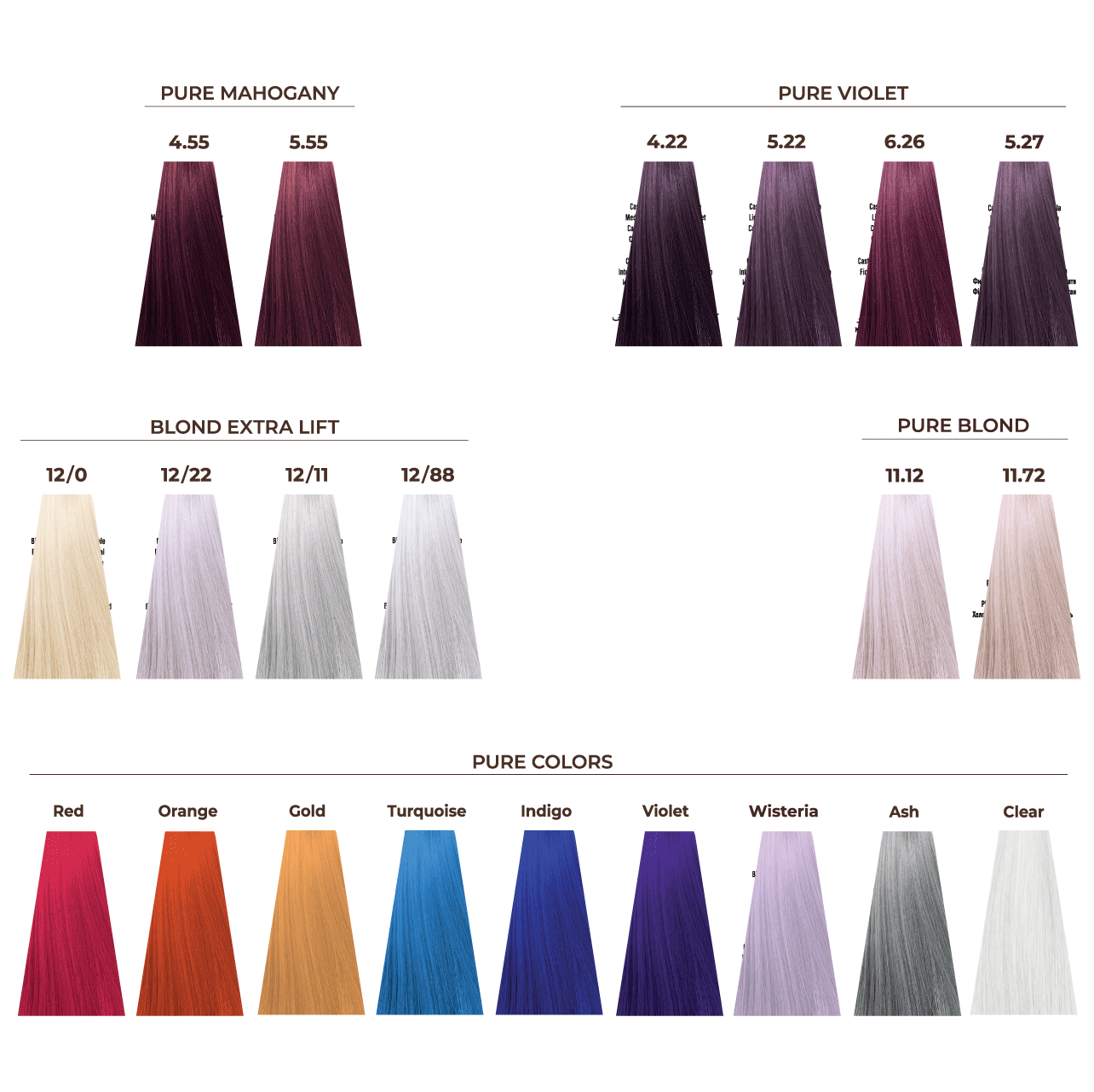 ECHOS COLOR (100ml)